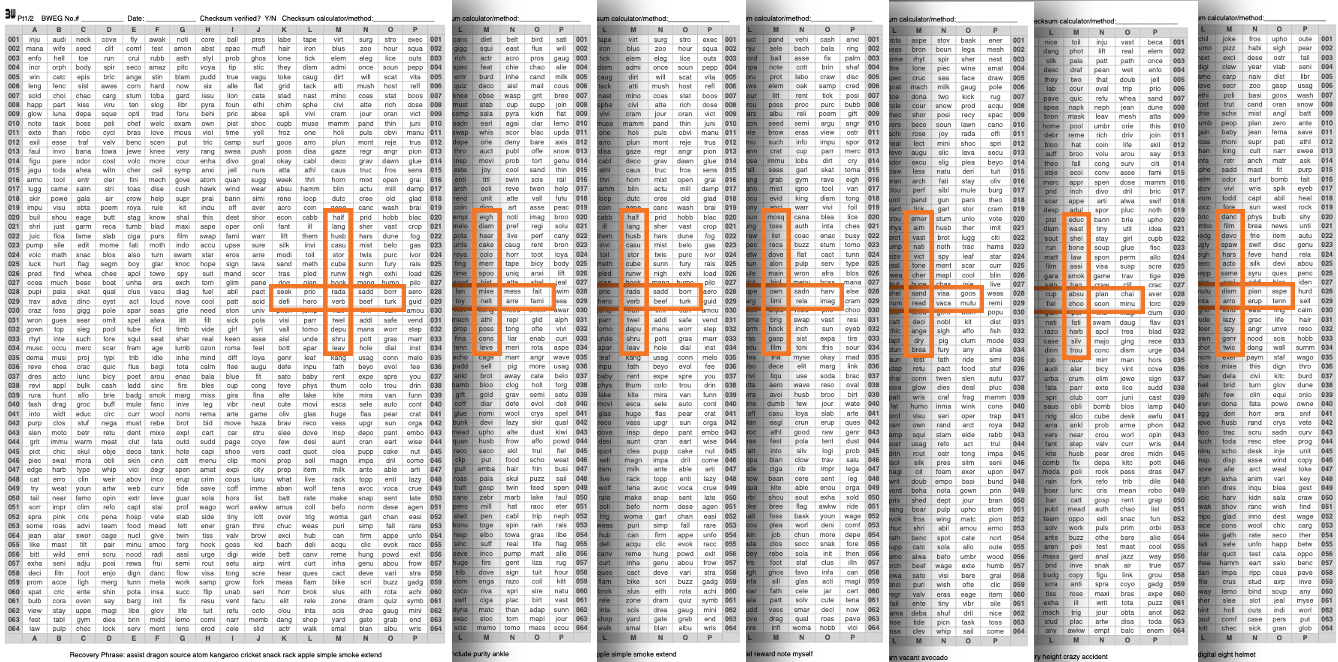 inception-inspired entropy grids